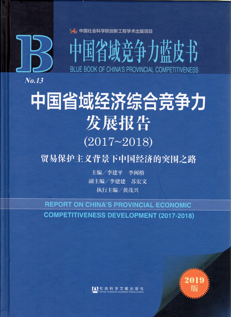 鸡巴强奸视频网站中国省域经济综合竞争力发展报告（2017-2018）